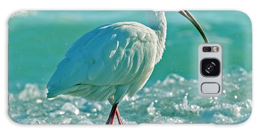 Ibis Galaxy Case featuring the photograph White Ibis Paradise by Betsy Knapp