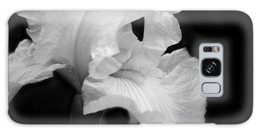 Monochrome Galaxy Case featuring the photograph White Iris by Cheryl Day