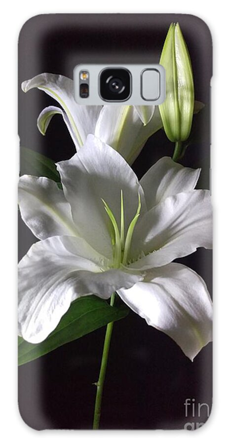Photography Galaxy Case featuring the photograph White Lily by Delynn Addams