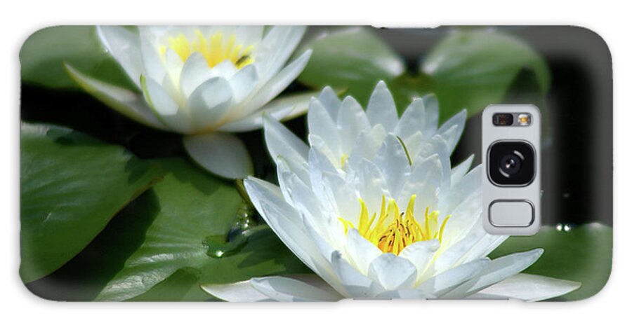 White Galaxy Case featuring the photograph White Lotus Waterlilies by Jackie Irwin