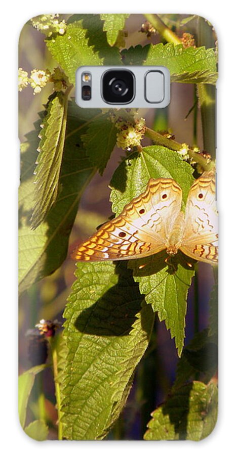 Butterfly Galaxy Case featuring the photograph White Peacock Butterfly by Terri Mills