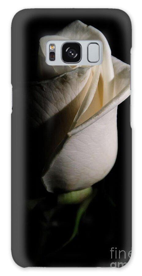 Rose Galaxy Case featuring the photograph White Rose Low Key Minimal Botanical / Nature / Floral Photograph by PIPA Fine Art - Simply Solid