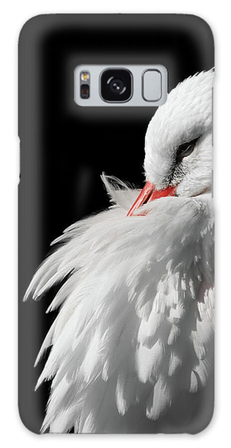 White Stork Galaxy Case featuring the photograph White Stork by Wim Lanclus