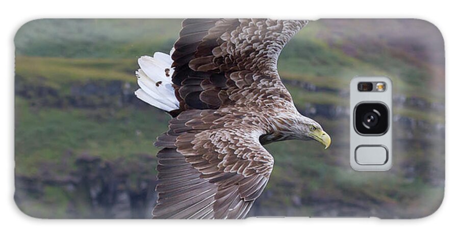 White-tailed Eagle Galaxy Case featuring the photograph White-Tailed Eagle Banks by Pete Walkden