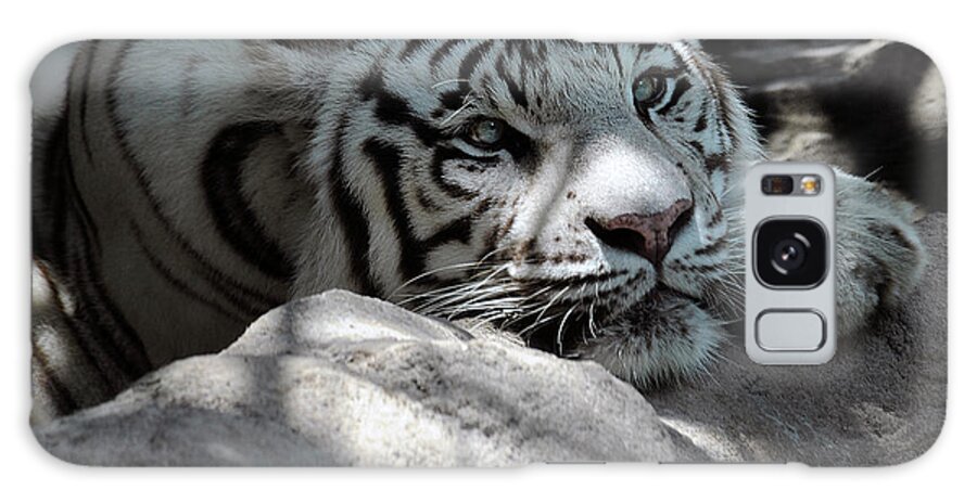 Tiger Galaxy S8 Case featuring the photograph White Tiger Contiplation by Keith Lovejoy