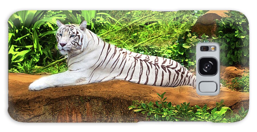 Tiger Galaxy Case featuring the photograph White tiger by MotHaiBaPhoto Prints