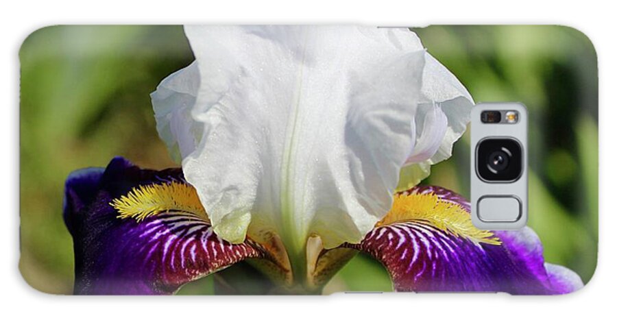 Photograph Galaxy Case featuring the photograph White Violet Iris Invitation by M E