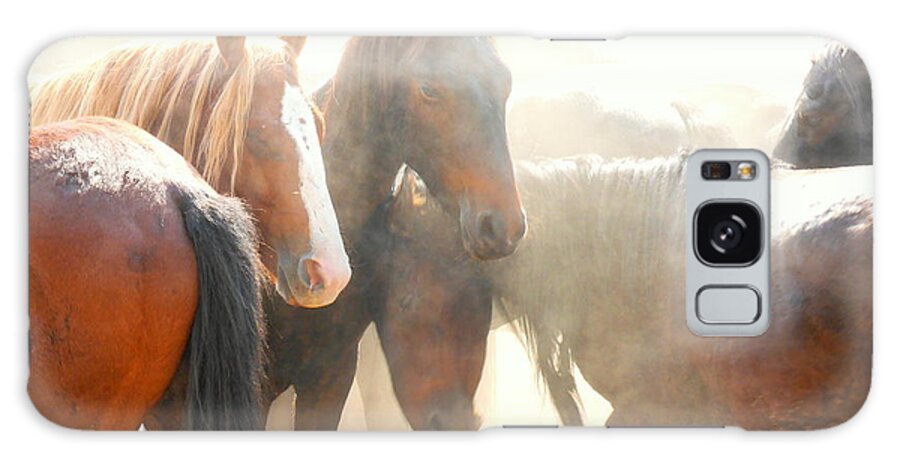 Man Fron Snowy River Galaxy Case featuring the photograph Wild Horses - Australian Brumbies 2 by Lexa Harpell