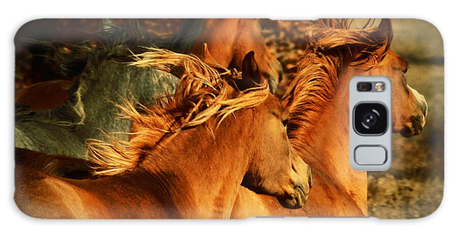 Horse Galaxy S8 Case featuring the photograph Wild Horses by Dimitar Hristov
