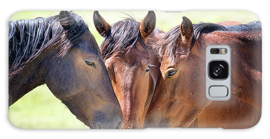 Eastern Sierra Galaxy Case featuring the photograph Wild Mustang Family by Mimi Ditchie
