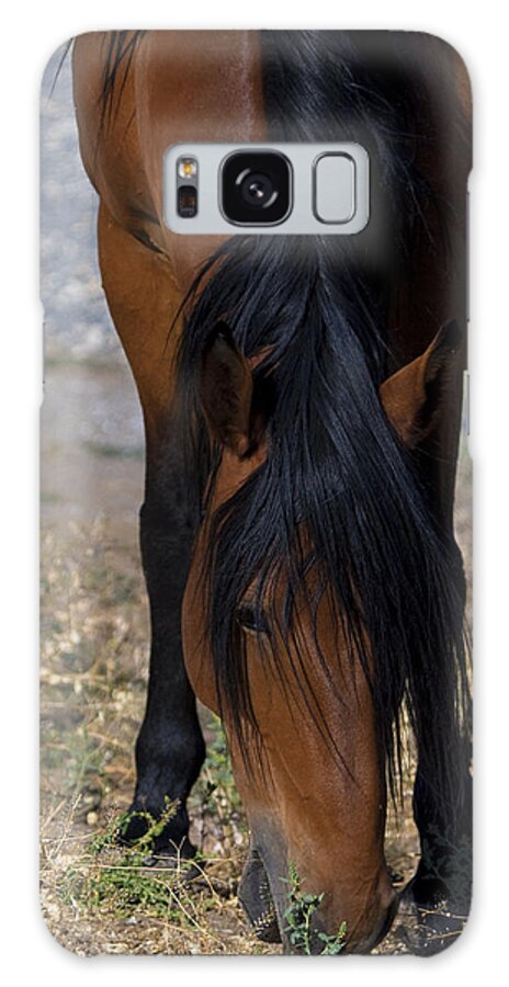 Horses Galaxy Case featuring the photograph Wild Mustang Mare Head Shot by Waterdancer 