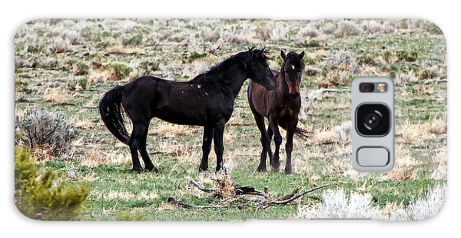Horses Galaxy Case featuring the photograph Wild Mustang Stallions by Waterdancer