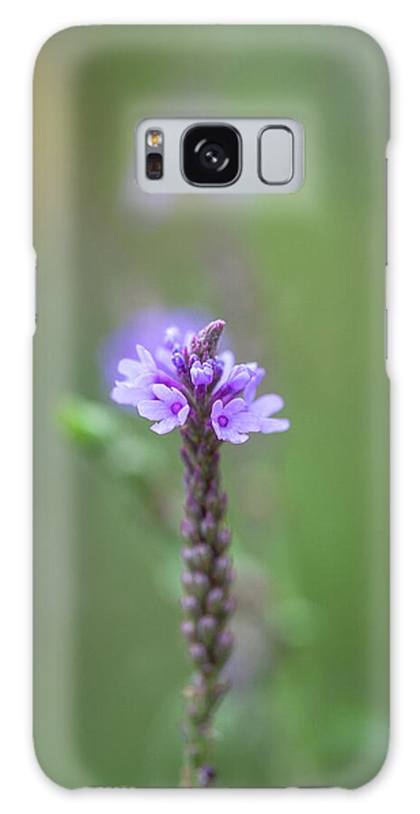 Illinois Galaxy Case featuring the photograph Wild Purple Flower Macro by Joni Eskridge