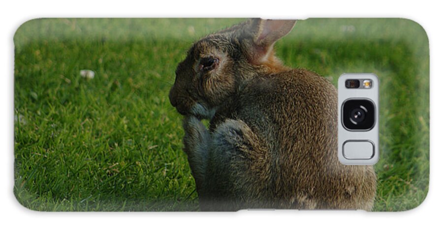 Wild Galaxy Case featuring the photograph Wild Rabbit Pondering by Adrian Wale