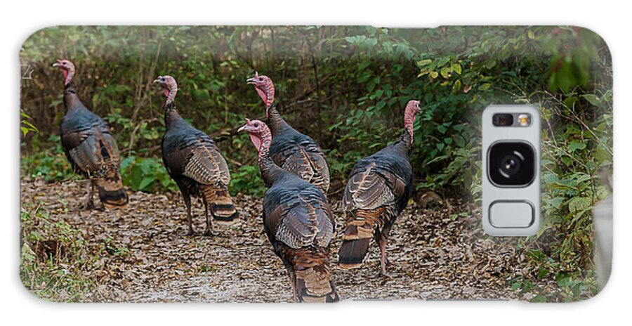 Heron Heaven Galaxy Case featuring the photograph Wild Turkey Flock by Ed Peterson