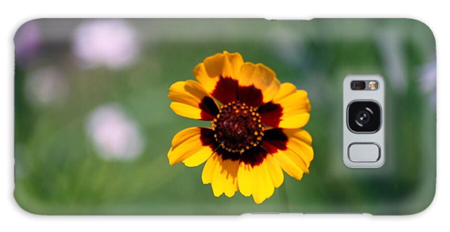 Wildflower Galaxy Case featuring the photograph Wildflower by Phil Burton