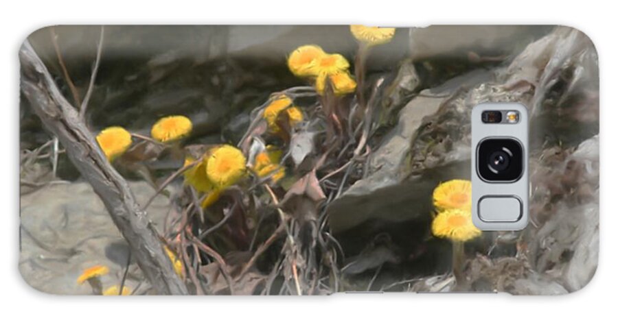 Flower Galaxy Case featuring the painting Wildflowers In Rocks by Smilin Eyes Treasures
