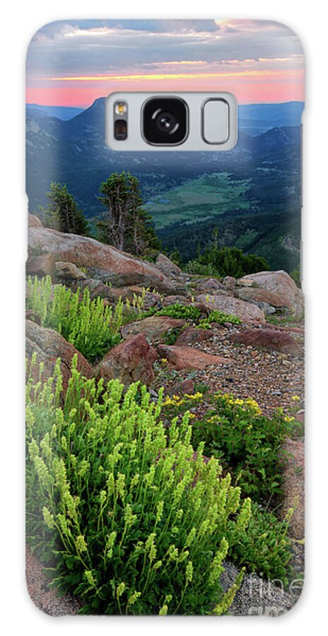 Wildflowers Galaxy Case featuring the photograph Wildflowers on Trail Ridge Road in Rocky Mountain National Park by Ronda Kimbrow