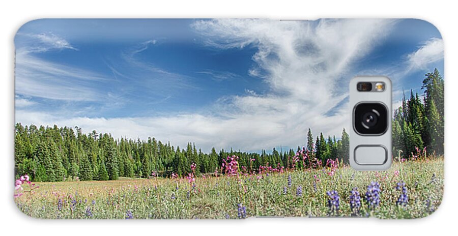 Wildflowers Galaxy Case featuring the photograph Wildflowers reach for the sky by Gaelyn Olmsted