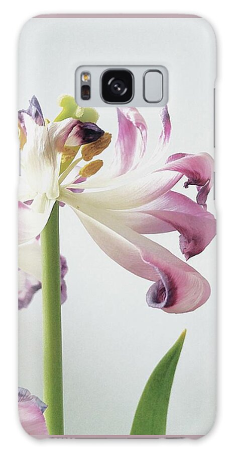 Flower Galaxy S8 Case featuring the photograph Wilting Tulip by Alexis King-Glandon
