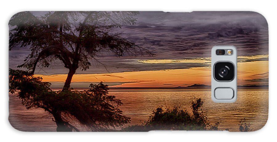 Tree Galaxy Case featuring the photograph Windswept by Randy Hall