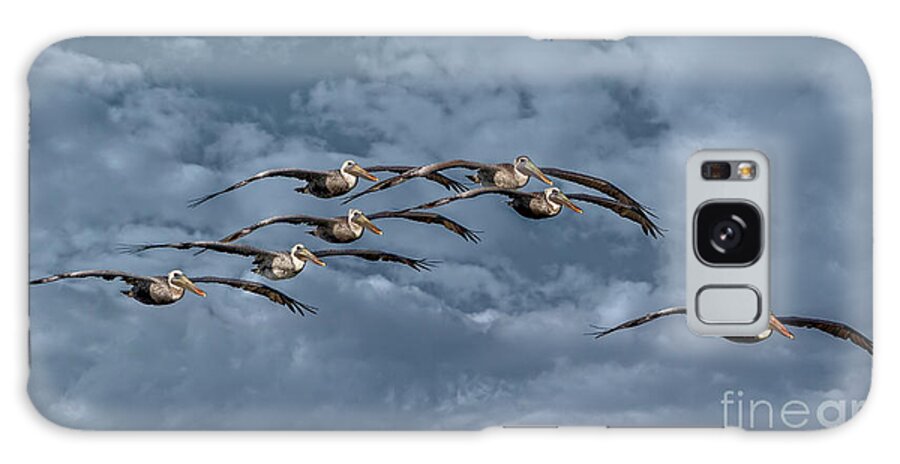 Birds Galaxy Case featuring the photograph Wings In Formation by DB Hayes
