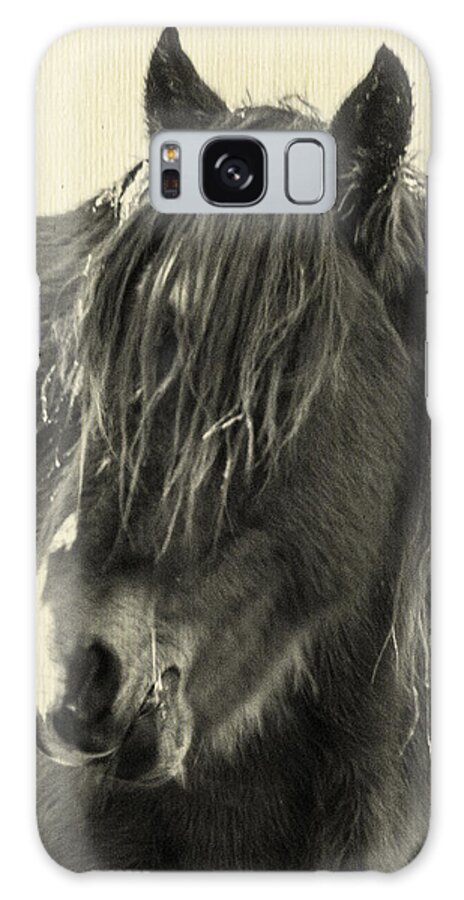 Black And White Galaxy Case featuring the photograph Winter Bangs by Jolynn Reed