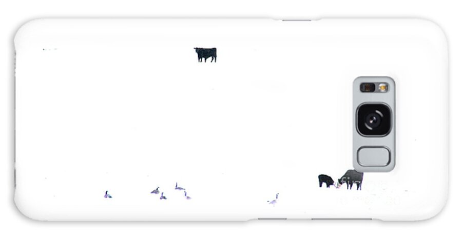 Winter Galaxy Case featuring the photograph Winter, Feed Zone by Merle Grenz