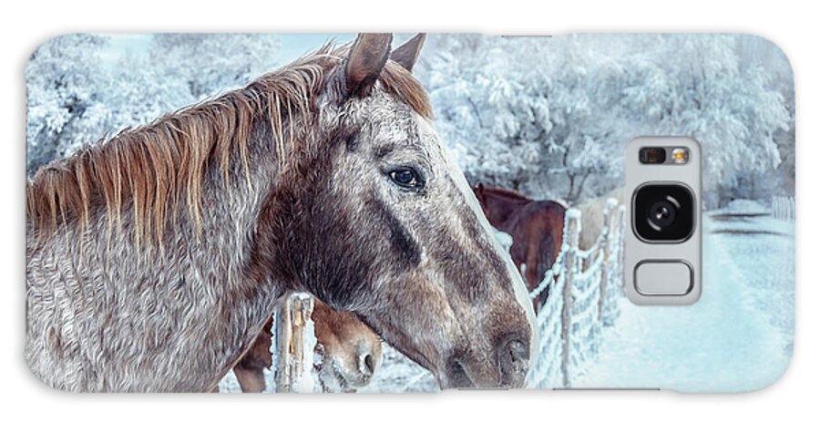 Horses Galaxy Case featuring the photograph Winter Horses by Steven Milner