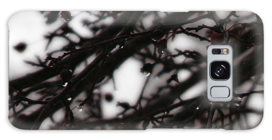 Branches Galaxy Case featuring the photograph Winter Rain by Linda Shafer
