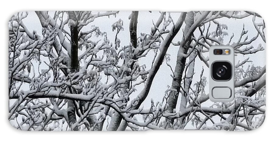 Ice Galaxy Case featuring the photograph Winter Sky through Snow Branches by Vic Ritchey