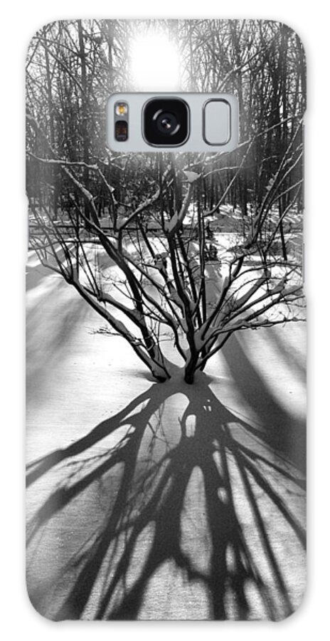 Trees Galaxy Case featuring the photograph Winter Sunrise Shadows by Glenn DiPaola