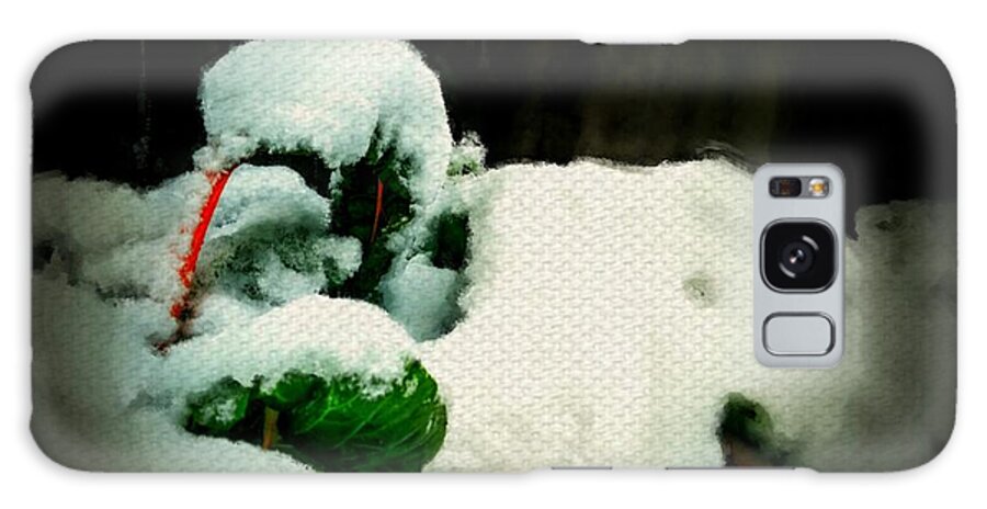 Winter Galaxy Case featuring the digital art Winter Swiss chard vegetable garden covered in snow by MendyZ 