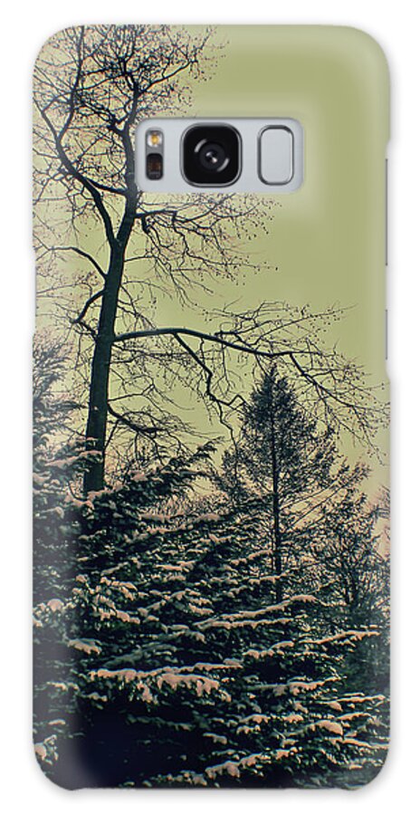 Snow Galaxy S8 Case featuring the photograph Winter Trees by Sandy Moulder
