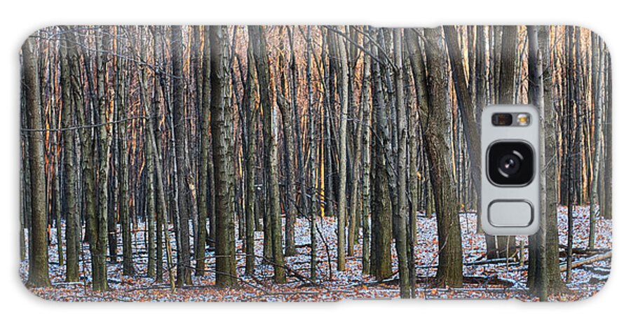 Tree Galaxy Case featuring the photograph Winter - UW Arboretum Madison Wisconsin by Steven Ralser