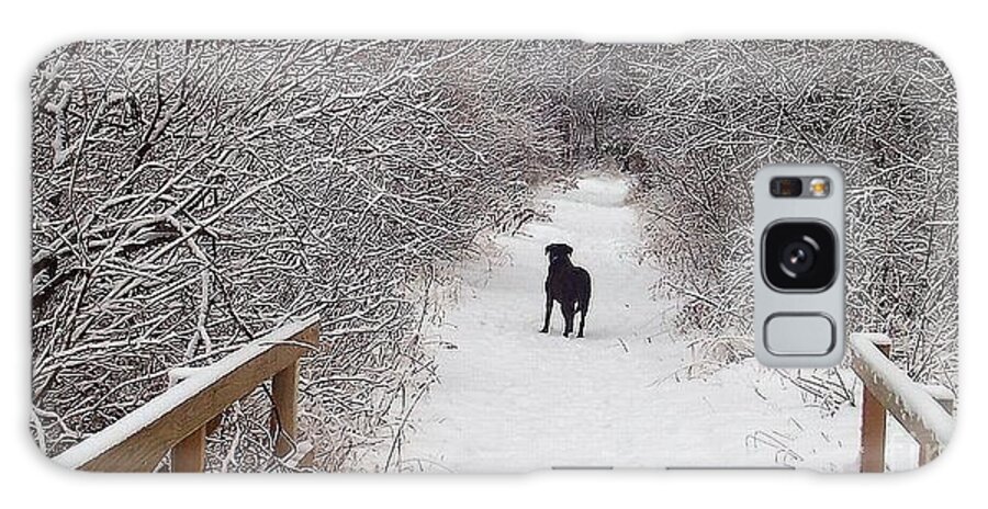 Winter Galaxy Case featuring the photograph Winter Walk by Deb Stroh-Larson