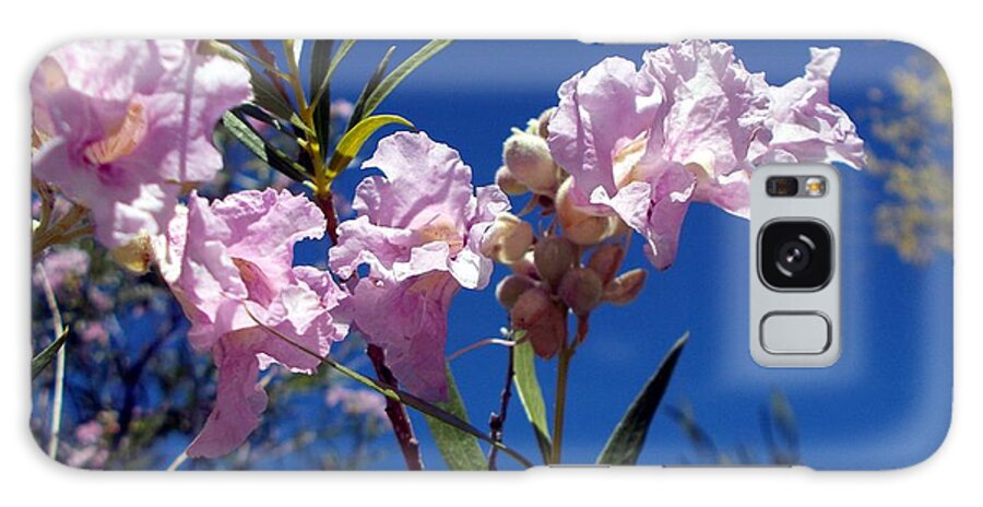 Desert Willow Galaxy Case featuring the photograph Wonderful Willow by Jerry Bokowski
