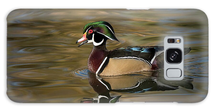 Photography Galaxy Case featuring the pyrography Wood Duck by Ron Woodbury