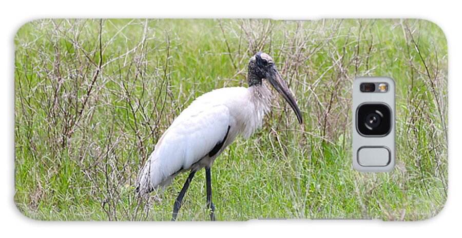 Wood Stork Galaxy Case featuring the photograph Wood Stork in the Marsh by Carol Groenen
