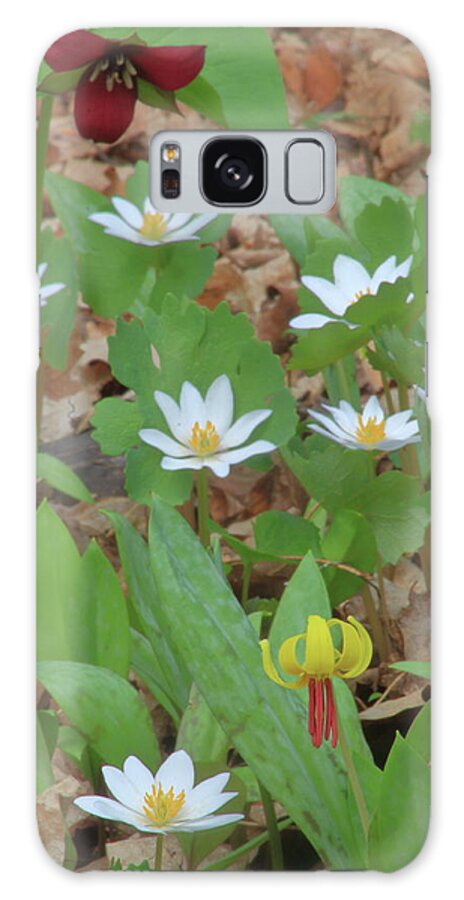 Wildflower Galaxy Case featuring the photograph Woodland Wildflowers by John Burk