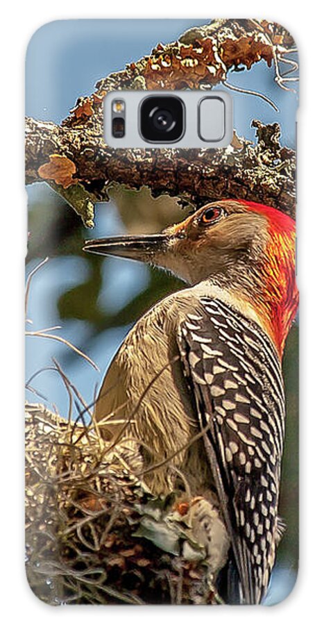 Woodpecker Galaxy Case featuring the photograph Woodpecker Closeup by Mike Covington