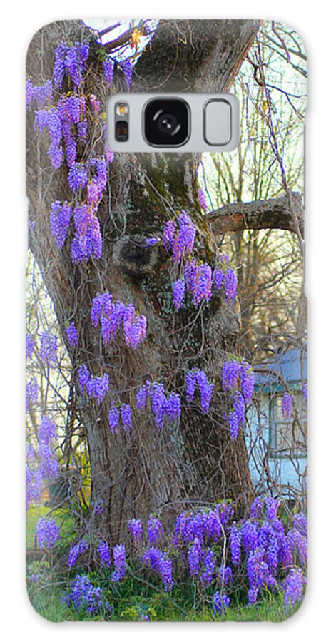 Wysteria Galaxy Case featuring the photograph Wysteria Tree by Karen Wagner