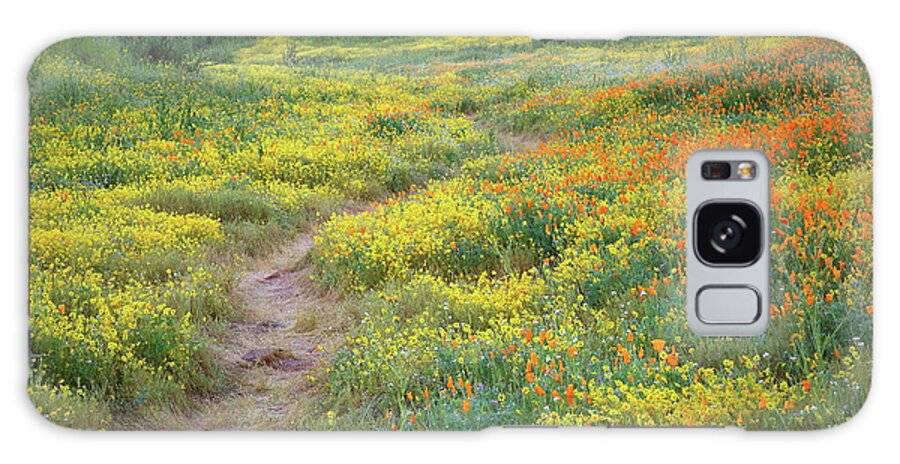 Wildflower Galaxy Case featuring the photograph Yellow and orange wildflowers along trail near Diamond Lake by Jetson Nguyen