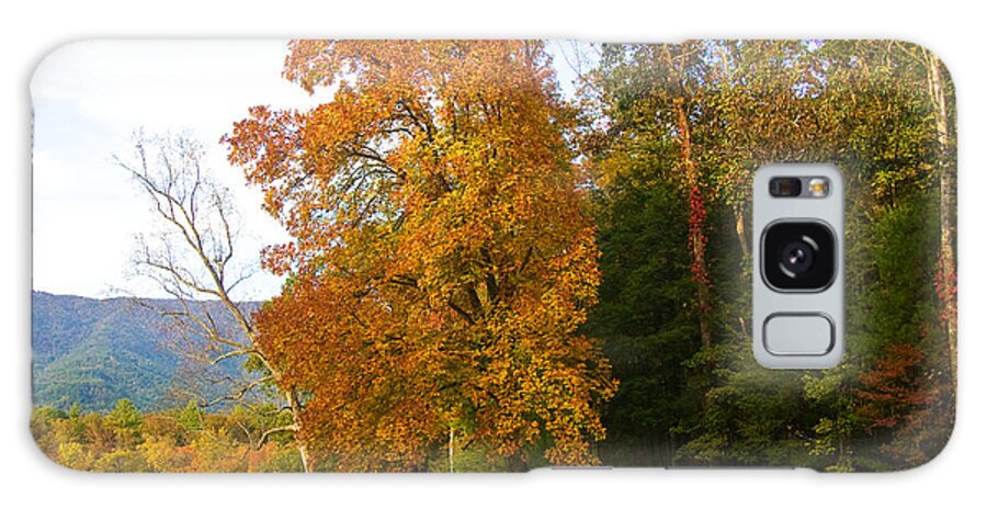 Fall Galaxy Case featuring the photograph Yellow and Red Tree by Bob Decker
