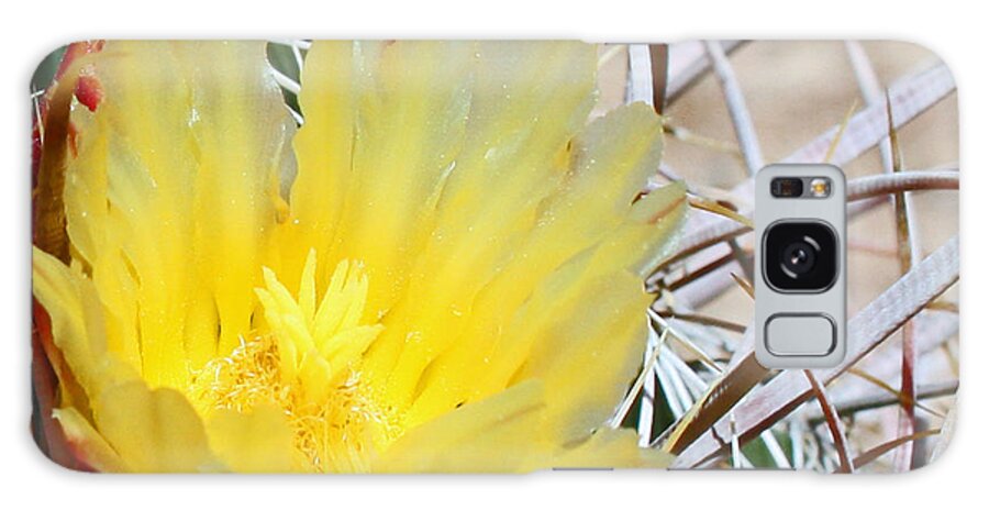Wall Art Galaxy Case featuring the photograph Yellow Barrel Cactus Flower by Kelly Holm