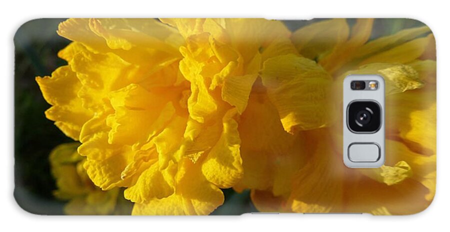 Abstract Galaxy Case featuring the photograph Yellow Daffodils by Jean Bernard Roussilhe
