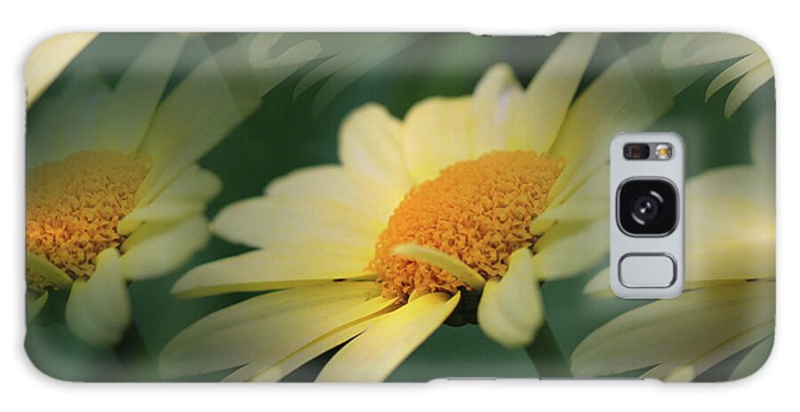 Daisy Galaxy Case featuring the photograph Yellow Daisies by Smilin Eyes Treasures