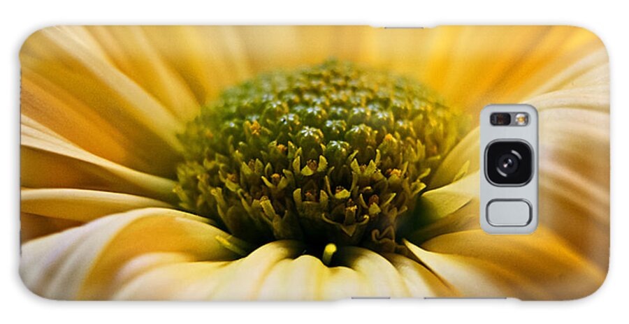 Wall Art Galaxy Case featuring the photograph Yellow Daisy by Kelly Holm