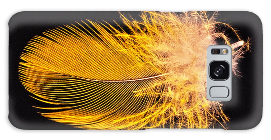 Pattern Galaxy S8 Case featuring the photograph Yellow Feather Macro by Bob Slitzan