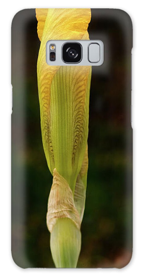 Iris Galaxy Case featuring the photograph Yellow Iris Bud by Grant Groberg